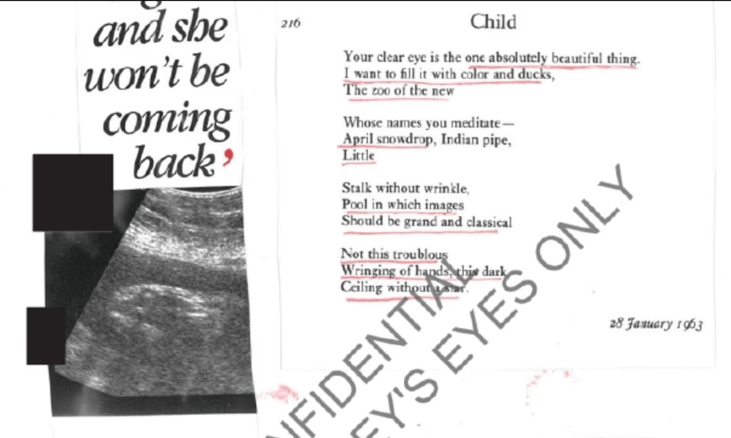 Indigenous Trafficking in the Epstein&nbsp;Era